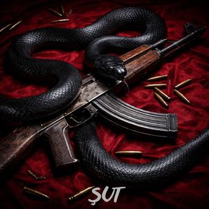 ŞUT