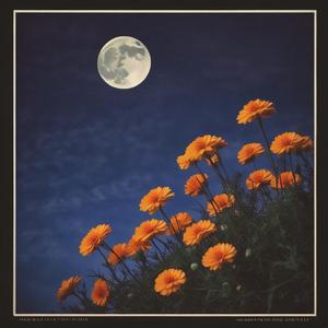 Martiniana by @hidex