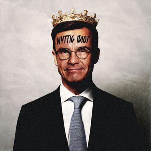 Nyttig Idiot
