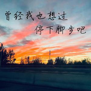 曾经我也想过停下脚步吧【填翻】