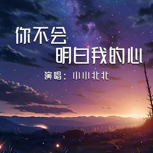 你不会明白我的心