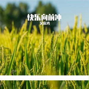 《快乐向前冲》