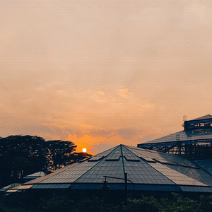 重回苏莲托 (经典纯音乐)