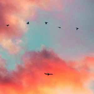 说散就散（男女合唱版）（翻自 艾福杰尼）