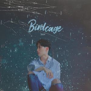 새장 (Birdcage)