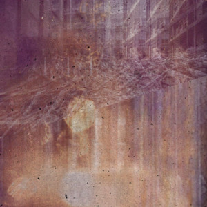 アンチエイジング