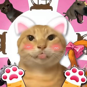 雾林记·旧名未凉