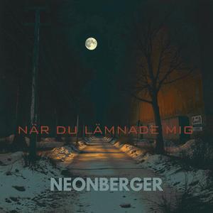 NÄR DU LÄMNADE MIG