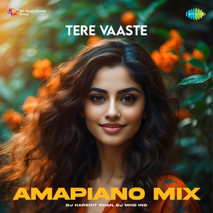 Tere Vaaste - Amapiano Mix