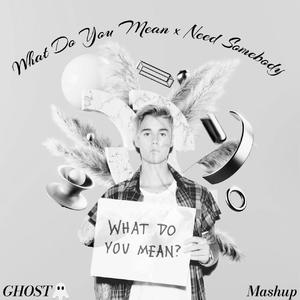 What Do You Mean×Need Somebody (GHOST Mashup)