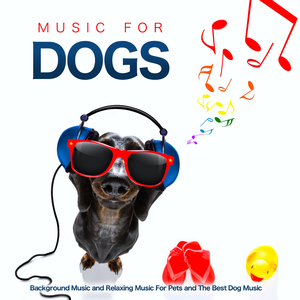 Music For Dogs