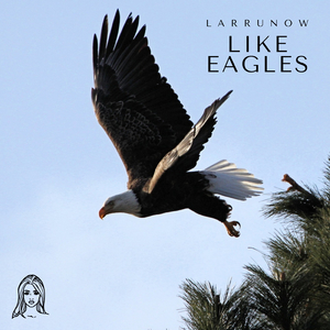 Like Eagles