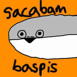 Sacabambaspis