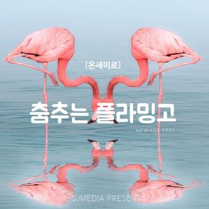 춤추는 플라밍고