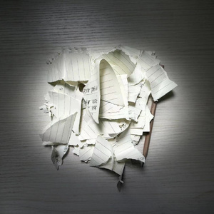 生命最后的一天