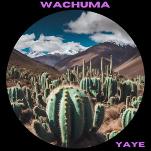 Wachuma