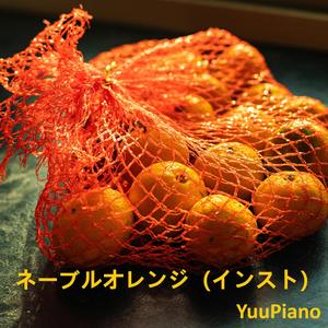 ネーブルオレンジ (インスト)
