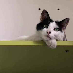 我管你（翻自 贱m）