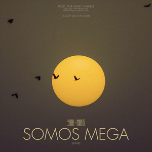 Somos Mega (Remix)