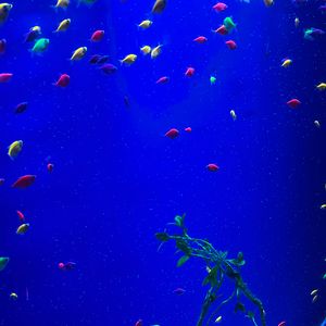 Ga3olinz-花_主控（沈易舒 remix）