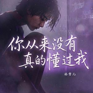 你从来没有真的懂过我