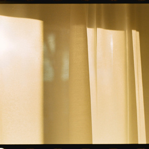 Morning Light