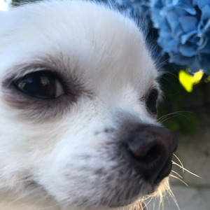 また会える日まで