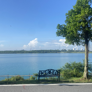 振兴宝圩-乡村共富裕.mp3