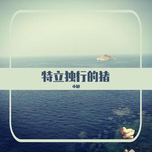 我知道你很难过(Live)（翻自 胡彦斌）