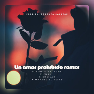 Un Amor Prohibido (Remix)
