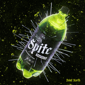 2 LITER SPITE