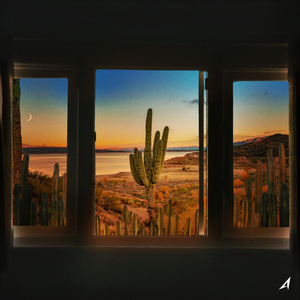 선인장 (Art. Calm swizzlely) (Prod. 강유정)