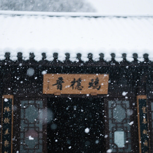 雪落下