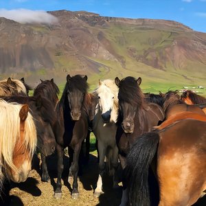 Girl on Fire（3D 环绕版）（Salao remix）