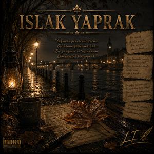 Islak Yaprak