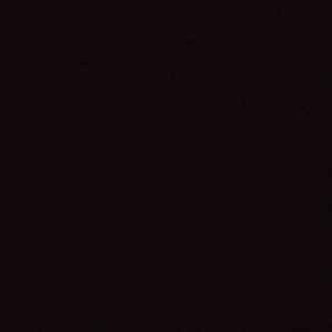 Negrita Sabanera 2.0