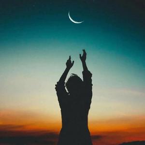 晚夜微雨问海棠