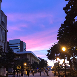 尘埃（翻自 家家）