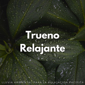 Resonancia De Tormenta Maravillosa