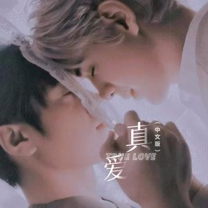 รักแท้ 真爱中文版