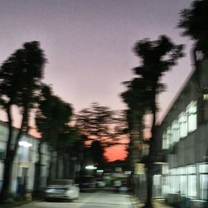 身体替我记得想念