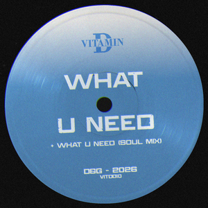 What U Need (Soul Mix)