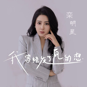 我曾经发了疯的想 (DJ默涵版)