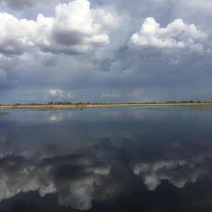 Woke Up by the Sea Shore