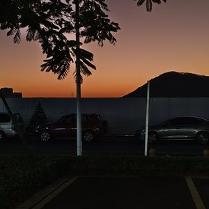 雪落满无人见证的肩