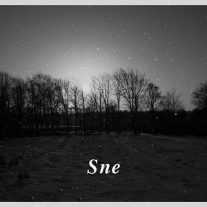 Sne