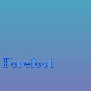 Forefoot