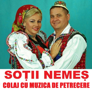 Colaj Cu Muzica De Petrecere Noua
