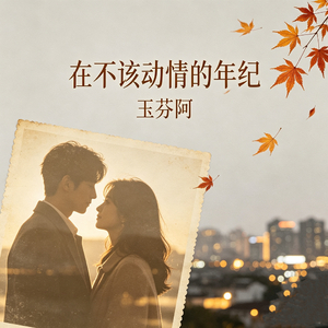 在不该动情的年纪