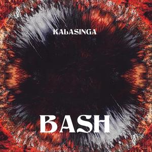 Bash